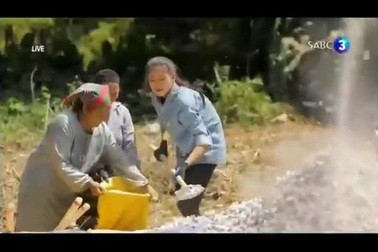 Lương Thuỳ Linh lọt top 12 Hoa hậu Thế giới 2019