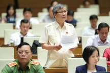 Ba ý kiến GS Nguyễn Anh Trí đóng góp để chấn hưng ngành Y