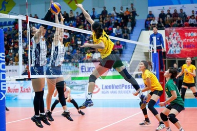 Long An giành HCV bóng chuyền nữ, Hà Nội chiếm ưu thế trong môn wushu