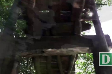 Độc đáo câu cá... Thòi lòi