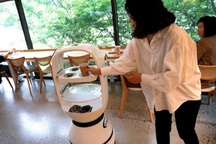 Quán cà phê "thuê" robot làm nhân viên phục vụ khách