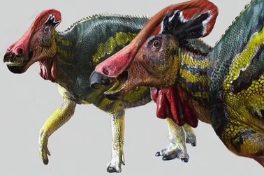 Tìm thấy loài khủng long "hay nói" ở Mexico
