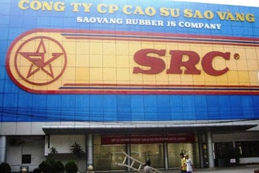 Khu đất "vàng" Cao su Sao Vàng chưa thể làm trung tâm thương mại 