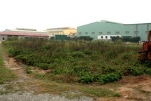 Hà Nội thu hồi hàng loạt dự án bỏ hoang