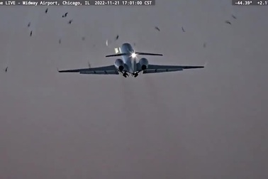 Máy bay chở tướng Mỹ hạ cánh khẩn cấp vì đâm phải chim