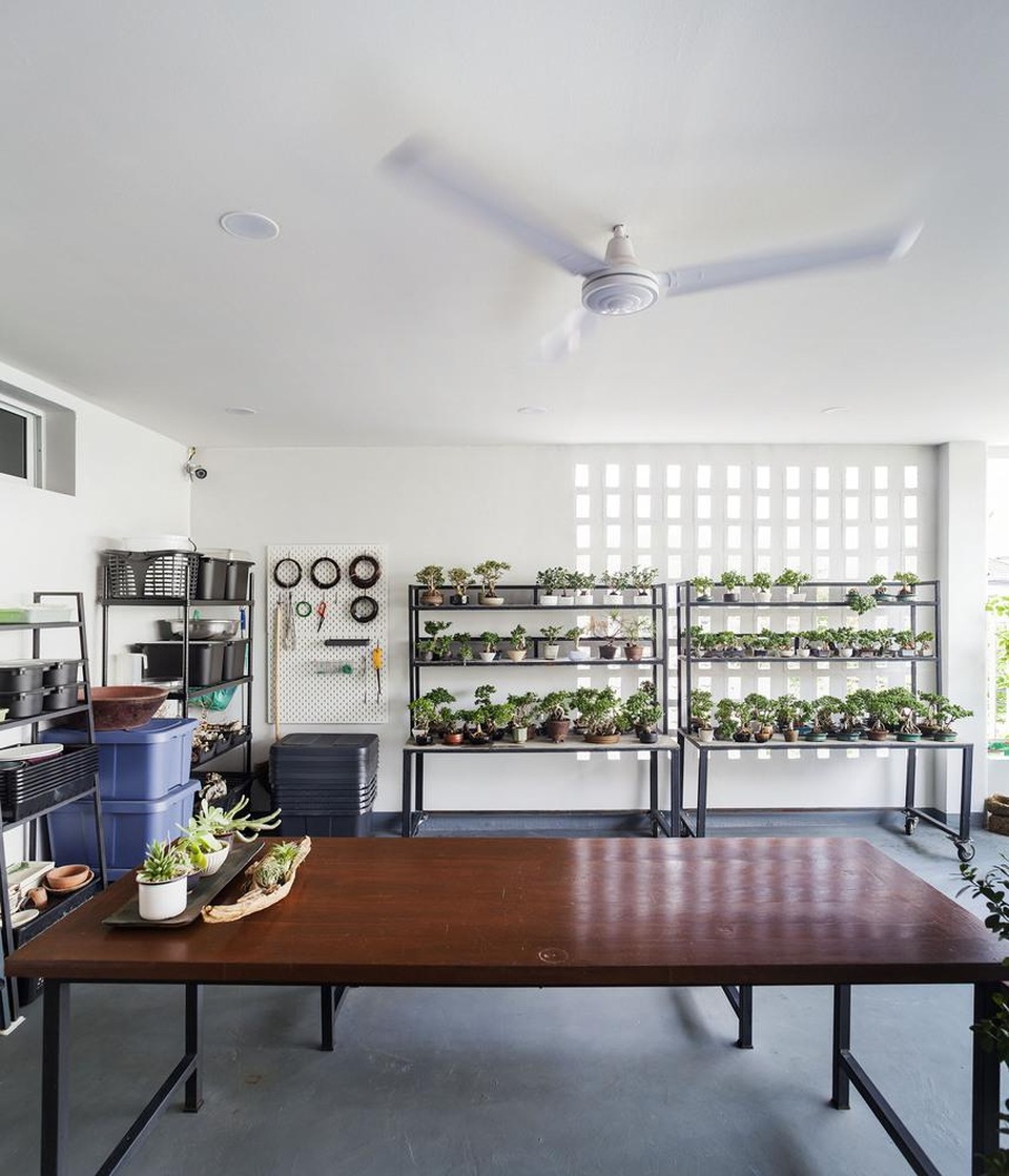 Choáng ngợp ngôi nhà 300m2 với khu vườn bonsai toàn cây “khủng” - 7 Choáng ngợp ngôi nhà 300m2 với khu vườn bonsai toàn cây “khủng” - 7