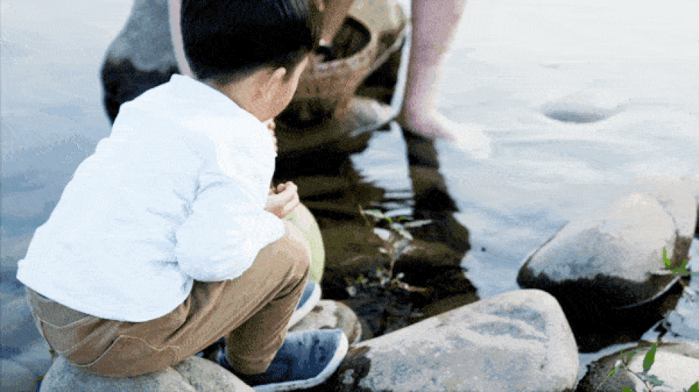 Vợ chồng nghỉ việc về quê, cải tạo nhà cổ thành nơi sống giữa thiên nhiên - 8