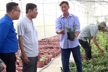 Tiền Giang: Liều trồng sâm "tiến vua", ông nông dân bất ngờ thành tỷ phú