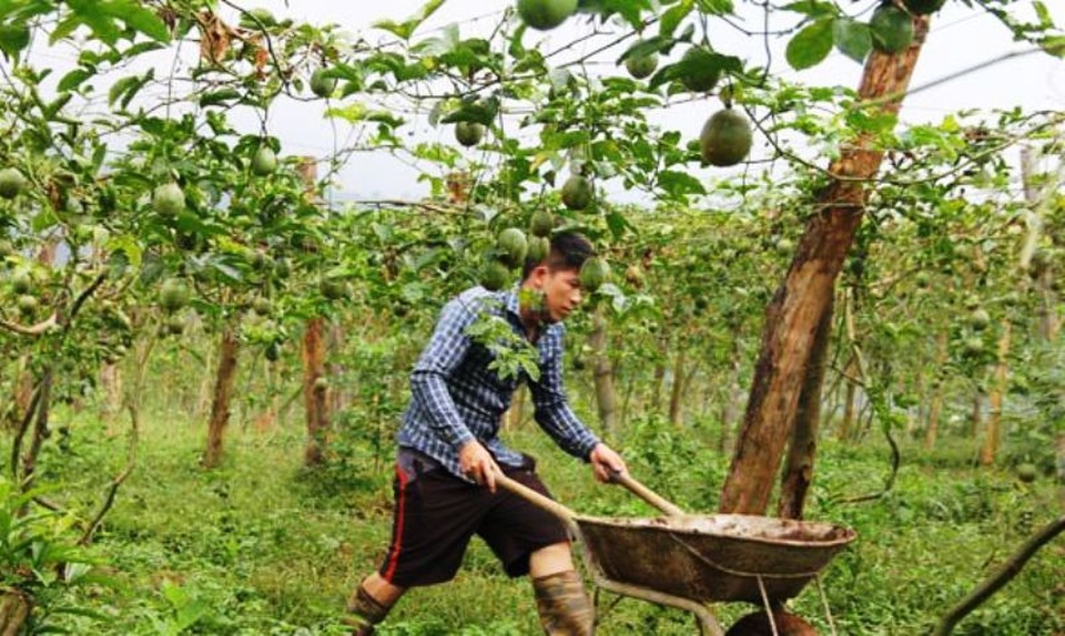 Có rừng mà không cậy nhờ được vốn quý cũng bằng không! - 3 Có rừng mà không cậy nhờ được vốn quý cũng bằng không! - 3