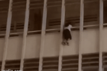 Nghẹt thở giải cứu nữ sinh lơ lửng bên ngoài lan can tầng 3 trường học