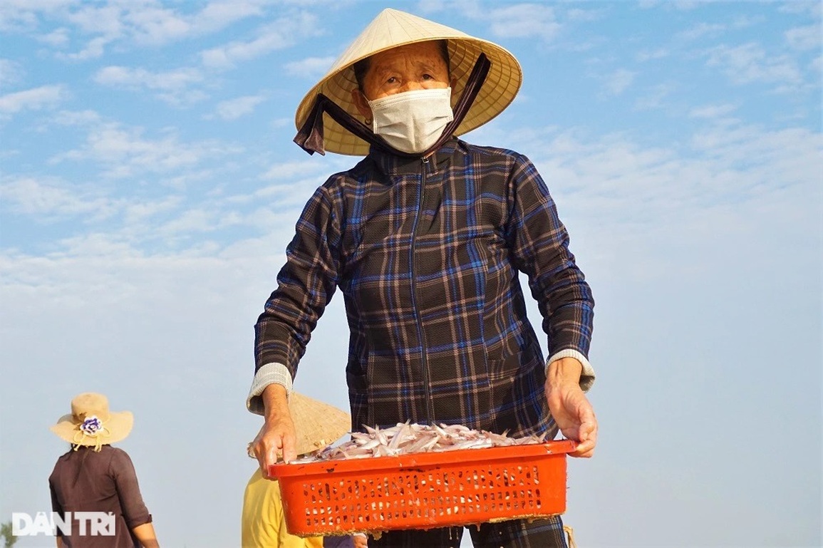 Trúng đậm những mẻ cá tí hon, ngư dân kiếm tiền triệu sau vài giờ ra khơi - 4 Trúng đậm những mẻ cá tí hon, ngư dân kiếm tiền triệu sau vài giờ ra khơi - 4