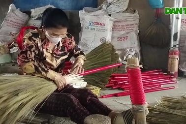 Làng chổi đót Chiêm Sơn tất bật vào vụ Tết