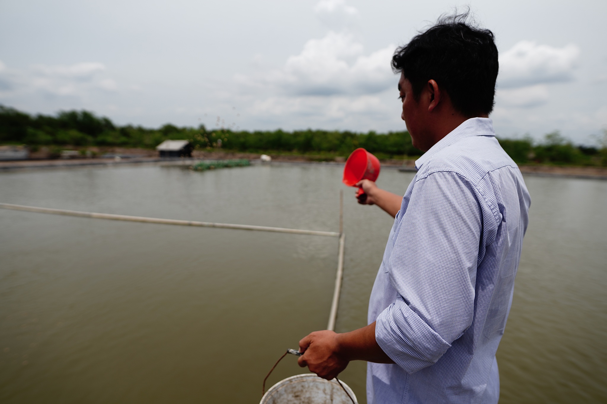 Nông dân đổi đời, thu tiền tỉ mỗi năm nhờ nuôi cá trời cho - 7 Nông dân đổi đời, thu tiền tỉ mỗi năm nhờ nuôi cá trời cho - 7