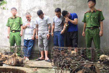 Đội quân trộm chó liên tỉnh sa lưới