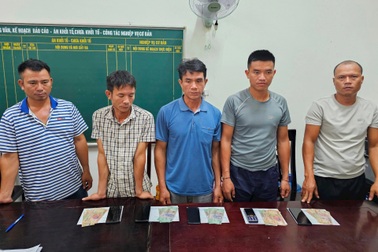 Bí mật của 5 người đàn ông "chăn trâu" lúc mờ sáng