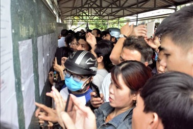 Bình Định: Điểm cao nhất vào trường chuyên Lê Quý Đôn là 33,5 điểm