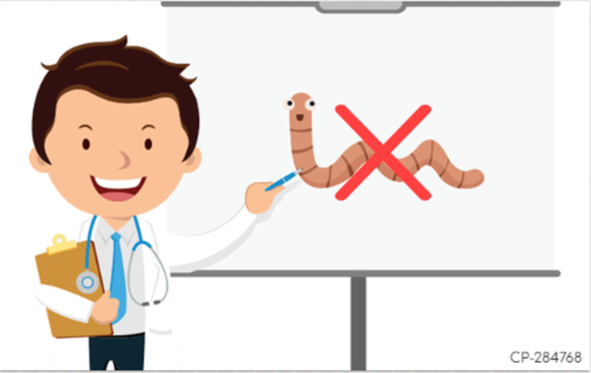 Điểm danh những loài giun gây nguy hiểm đến sức khỏe con người - 1 Điểm danh những loài giun gây nguy hiểm đến sức khỏe con người - 1