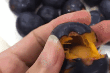 Đặc sản cọ nếp xuống phố phục vụ người dân Thủ đô