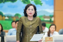 Thống đốc Ngân hàng: Không quy định nào có thể xử lý triệt để sở hữu chéo