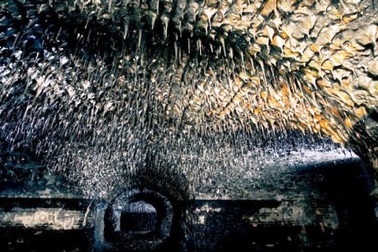 Khám phá “địa ngục trần gian” Zverev