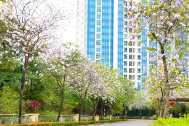 TheLINK345 Ciputra Hanoi - Căn hộ ở ngay, nội thất trao tay lên tới 380 triệu đồng