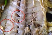 Thực phẩm bẩn: "Chăm chăm khi nào có ngộ độc mới xử lý...."