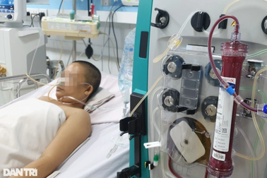 Chuyên gia truyền nhiễm lý giải ca mắc, tử vong do sốt xuất huyết tăng vọt