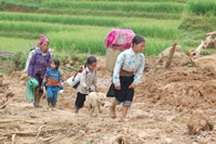 Một trường tiểu học bị xóa sổ sau mưa lũ