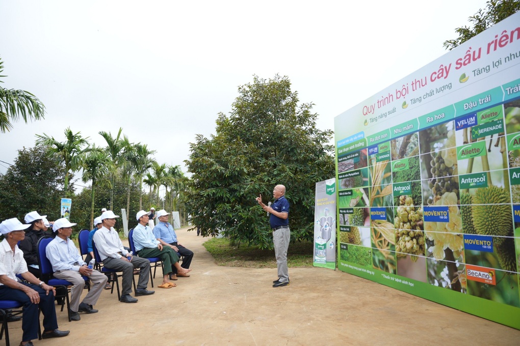 Vườn sầu riêng Canh tác bền vững được thương lái săn lùng - 3 Vườn sầu riêng Canh tác bền vững được thương lái săn lùng - 3
