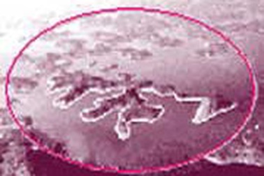 Chữ Thọ trên mặt hồ