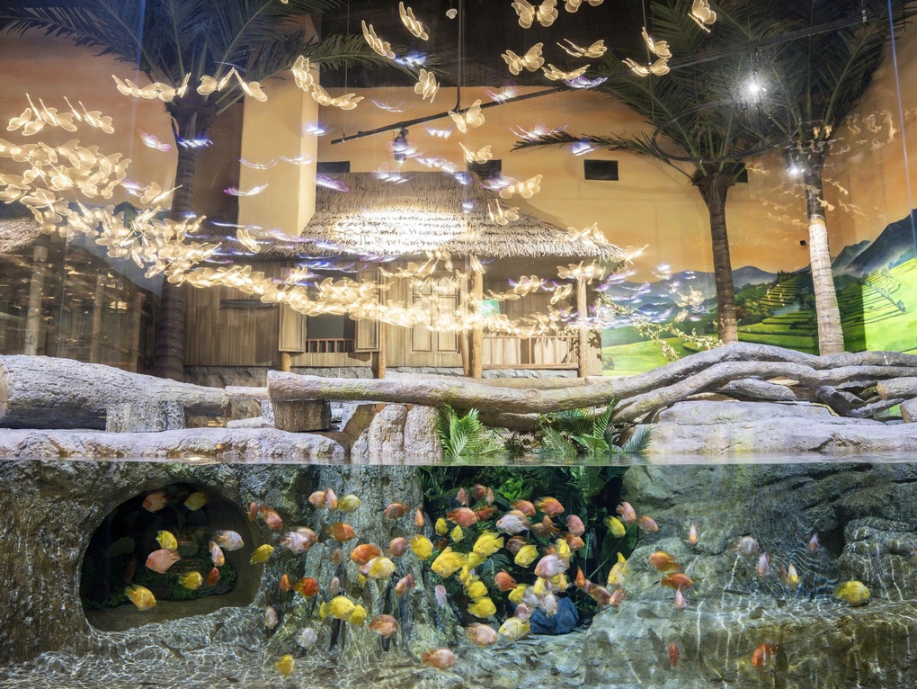 Lotte World Aquarium ហាណូយ ស្វាគមន៍ភ្ញៀវទេសចរណ៍ទី ១ លាននាក់ - ២ Thủy cung Lotte World Hà Nội đón vị khách thứ 1 triệu - 2