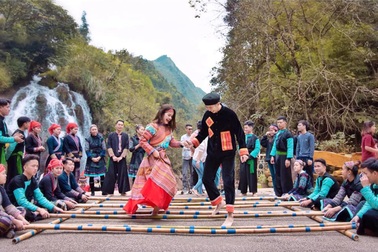 Tạm dừng Lễ hội hoa hồng Sa Pa do ảnh hưởng của dịch Covid -19