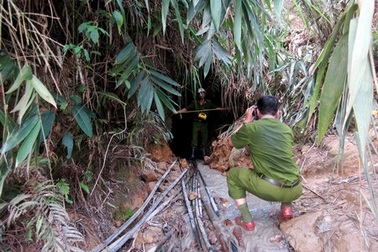 Huy động tổng lực truy quét lâm tặc