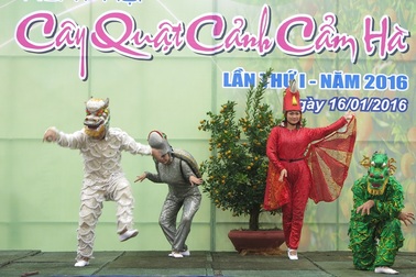 Hội An lần đầu có Ngày hội quật cảnh đón Tết Nguyên Đán