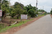 Đất Long Thành tăng gấp 5 lần sau 2 năm, chuyên gia cảnh báo rủi ro