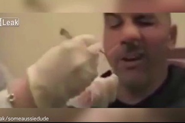 Video lấy sán dây dài 1,5m qua mũi người đàn ông
