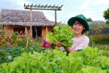 Cô gái 25 tuổi chi 500 triệu biến mảnh đất trống thành khu vườn đẹp như mơ