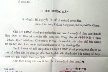 UBND TP Bắc Giang hướng dẫn người dân khiếu nại kiểu "kiến bò miệng chén"?