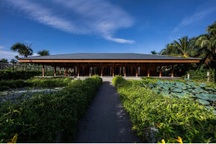 Gia đình ở Bến Tre làm nhà gỗ rộng 450m2 nhìn thẳng ra hồ sen đẹp tuyệt