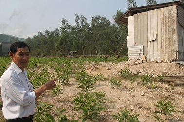 Thực hư việc doanh nghiệp xây dựng nhà xưởng trên đất của dân ở Bình Định!