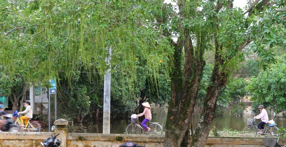 Nghĩa tình của bạn đọc Dân trí đến với người dân rốn lũ - 12 Nghĩa tình của bạn đọc Dân trí đến với người dân rốn lũ - 12