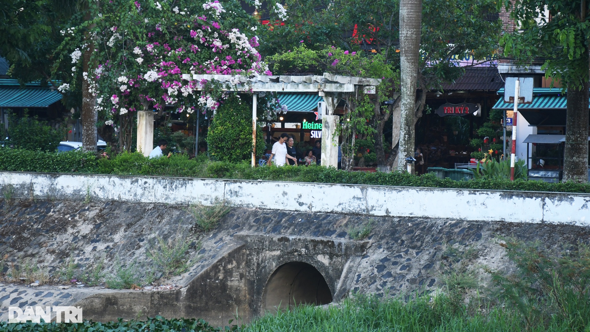 Nỗi ám ảnh sống bên 2 túi nước thải ở trung tâm TP Quảng Ngãi - 3 Nỗi ám ảnh sống bên 2 túi nước thải ở trung tâm TP Quảng Ngãi - 3