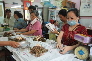 Y học cổ truyền vừa thiếu vừa yếu