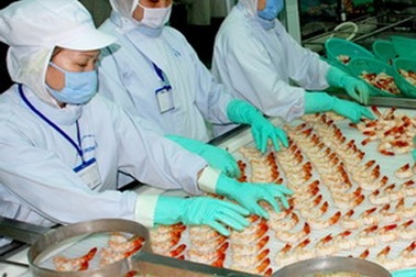 Việt Nam tiếp tục kiện Hoa Kỳ áp chống bán phá giá tôm