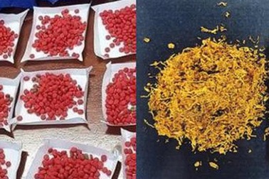 Gần 600 loại ma túy hoành hành ở Việt Nam