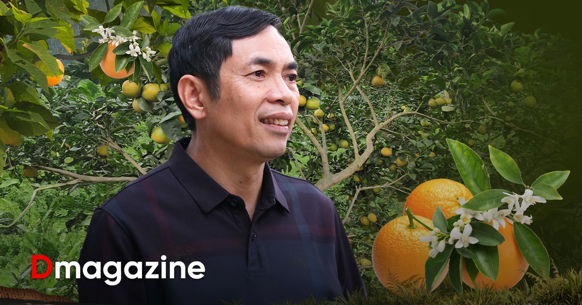 Gallery - Người đàn ông "ăn gan trời" mơ trồng cam ngon nhất thế giới | Báo Dân trí