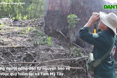 Theo chân những nông dân thứ thiệt bảo vệ đàn voọc đặc biệt quý hiếm