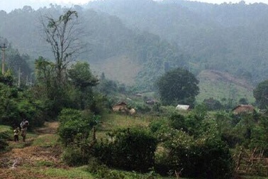 Giám đốc Ban quản lý rừng phòng hộ “bặt vô âm tín” hơn một tuần