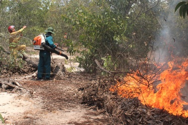 Hơn 100 người nỗ lực dập đám cháy rừng phòng hộ