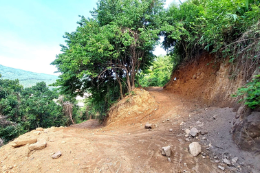 Ngang nhiên san ủi đất rừng Hải Vân để trồng dược liệu